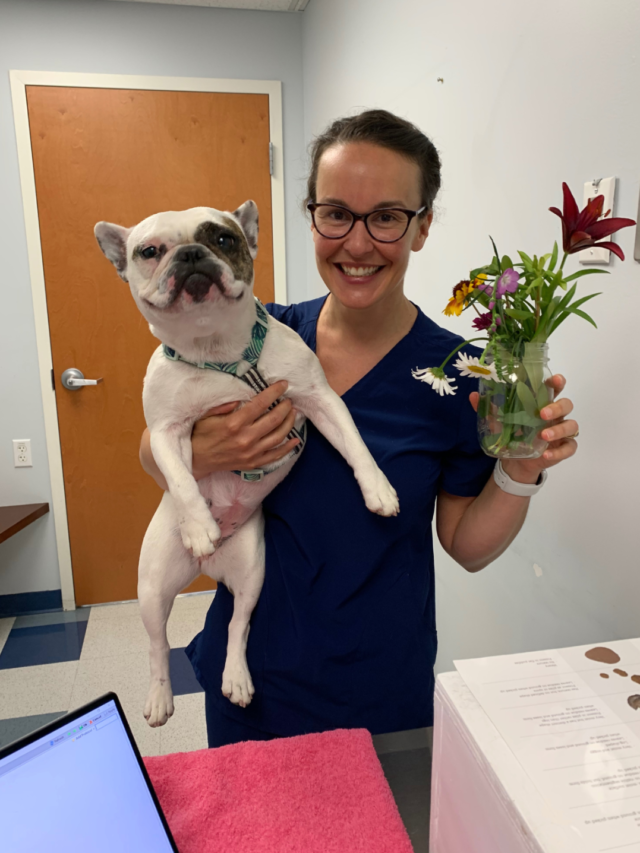 Veterinarian Visits