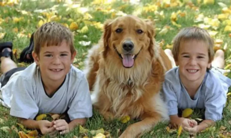 10 Best Dog Breeds for Kids and Families